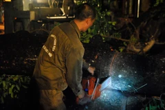 Để khắc phục hậu quả cơ dông, rất nhiều lực lượng đã được huy động để cùng phối hợp làm việc, chỉ riêng Công ty Công viên cây xanh Hà Nội đã huy động tới 400 nhân viên tinh nhuệ tỏa đi khắp ngóc ngách Thủ đô. (Ảnh: Võ Phương/Vietnam+)