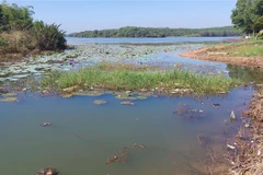 (Ảnh minh họa: TTXVN phát)