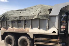 (Ảnh minh họa: TTXVN phát)