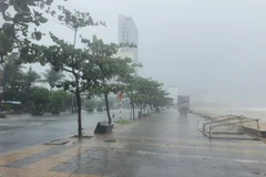 Gió giật mạnh liên hồi kèm theo mưa lớn khu vực ven biển Mỹ Khê. 