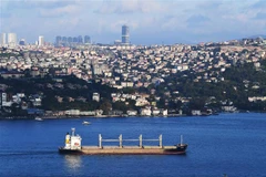 Tàu chở ngũ cốc của Ukraine đi qua Eo biển Bosphorus ở Istanbul, Thổ Nhĩ Kỳ, ngày 7/8. (Ảnh: THX/ TTXVN)