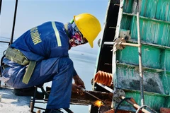 (Ảnh minh họa: Thanh Vân/TTXVN)