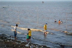 Khách du lịch thích thú với nét hoang sơ của biển Gò Công. (Ảnh: Hữu Chí/TTXVN)