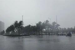 Gió giật mạnh liên hồi kèm theo mưa lớn khu vực ven biển Mỹ Khê. (Ảnh: Văn Dũng/TTXVN)