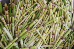 Măng Loi được người dân Tân Kỳ chế biến thành nhiều các món ăn đặc sản khác nhau như măng luộc, măng hầm, măng xào, măng ngâm chua cay... (Ảnh: Bích Huệ/TTXVN)