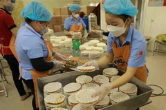 (Ảnh minh họa: Vũ Sinh/TTXVN)