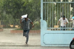 Ảnh minh họa. (Nguồn: TTXVN)