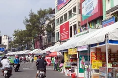 Tuần lễ Đông y là điểm tham quan hấp dẫn đối với nhưng du khách nước ngoài đến thăm Thành phố Hồ Chí Minh. (Ảnh: Thông Hải/Báo ảnh Việt Nam).