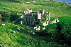 Đại sứ quán Ireland ở Việt Nam tổ chức sự kiện "nhuộm xanh Hà Nội"