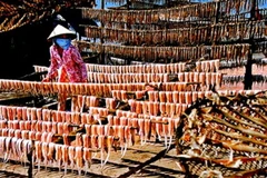Làng nghề làm khô cá khoai ở thị trấn Cái Đôi Vàm, huyện Phú Tân. (Nguồn: camau.gov.vn)