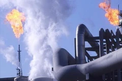 Ảnh minh họa. (Nguồn: Getty Images) 