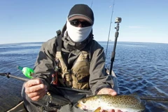 (Nguồn: spottedtail.com)