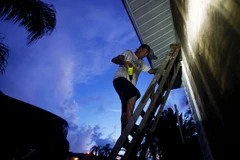 Người dân gia cố nhà cửa trước bão Irma tại đảo Meritt, Florida, Mỹ ngày 7/9. (Ảnh: AFP/TTXVN)