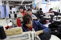 (Ảnh minh họa: Trần Việt/TTXVN)