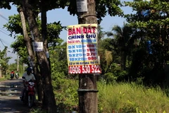 Biển quảng cáo và tờ rơi ghi số điện thoại mua bán đất dán đầy trên các cây xanh tại khu vực xã Vĩnh Lộc A, B, huyện Bình Chánh. (Ảnh: Hoàng Hải/TTXVN)