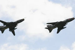 (Nguồn:sputniknews.com)