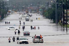 Cảnh ngập lụt do mưa lớn trong bão Harvey ở Houston, bang Texas ngày 27/8 tới. (Ảnh: AFP/TTXVN)