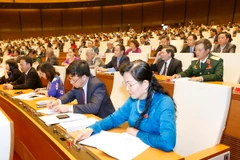 Đại biểu Quốc hội. (Ảnh: Doãn Tấn/TTXVN) 