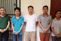 Xóa đường dây buôn bán, vận chuyển trái phép hổ để nấu cao