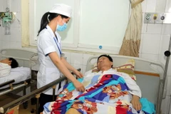 (Ảnh minh họa: Mạnh Tú/TTXVN)