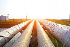 Ảnh minh họa. (Nguồn: shutterstock.com)