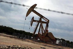 Ảnh minh họa. (Nguồn: CNBC)