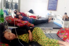 (Ảnh minh họa: Đức Tưởng/TTXVN)