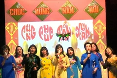 Các tiết mục "cây nhà lá vườn" được người xem nhiệt tình đón nhận. (Ảnh: Trần Quang Vinh/Vietnam+)