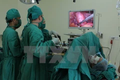 Ảnh minh họa. (Nguồn: TTXVN)