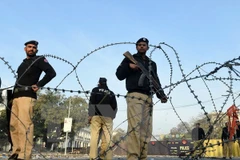 Ảnh minh họa. (Nguồn: AFP/TTXVN)