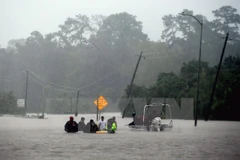 Ảnh minh họa. (Nguồn: AFP/TTXVN)