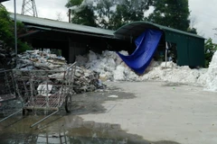 Một cơ sở sản xuất nhựa tái chế.(Ảnh: Mai Mạnh/Vietnam+)