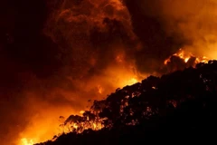  Ảnh minh họa. (Nguồn: Reuters)