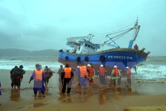 Tàu vỏ thép của ngư dân Phú Yên bị sóng đánh dạt vào bờ biển Quy Nhơn. (Ảnh: Nguyên Linh/TTXVN)