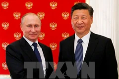 Tổng thống Nga Vladimir Putin (trái) và Chủ tịch Trung Quốc Tập Cận Bình. (Nguồn: EPA/TTXVN)