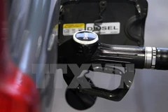 Ảnh minh họa. (Nguồn: AFP/TTXVN)