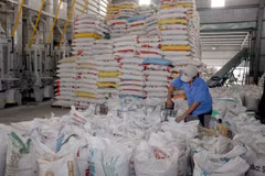 Chế biến gạo xuất khẩu. (Ảnh: Đình Huệ/TTXVN)