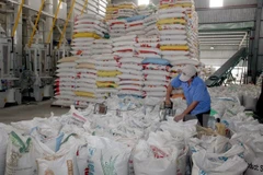 Chế biến gạo xuất khẩu. (Ảnh: Đình Huệ/TTXVN)