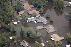 Cảnh ngập lụt do mưa lớn sau bão Harvey ở Orange, bang Texas ngày 31/8. (Nguồn: AFP/TTXVN)