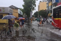 Ảnh minh họa. (Ảnh: Trọng Đạt/TTXVN)