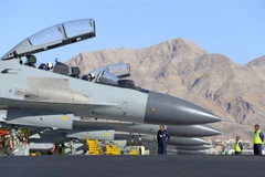 Máy bay của công ty Rosoboronexport. (Nguồn: rostec.ru)