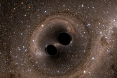 Một mô phỏng cho thấy hai lỗ đen sáp nhập, quá trình tạo ra các sóng hấp dẫn. (Nguồn: Nat Geo)