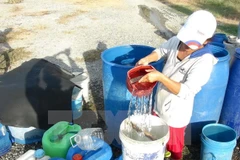 Ảnh minh họa. (Nguồn: TTXVN)