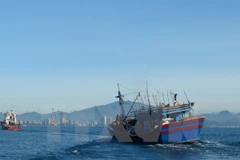 Ảnh minh họa. (Nguồn: TTXVN)