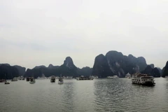 Tàu du lịch trên Vịnh Hạ Long. (Ảnh: Đức Hiếu/TTXVN)