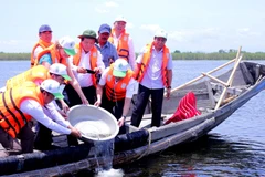Hoạt động thả cá tôm, cua, cá giống để tái tạo nguồn lợi thủy sản, tăng tính đa dạng sinh học vùng đầm phá. (Ảnh: Tường Vi/TTXVN)