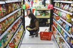 (Ảnh minh họa: Đinh Tuấn/TTXVN)