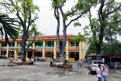 (Ảnh minh họa: Đại Nghĩa/TTXVN)