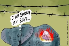 Xúc động với những bức tranh tưởng niệm voi mẹ chết thảm tại Ấn Độ