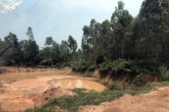 (Ảnh minh họa: TTXVN/phát)